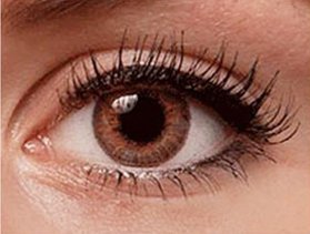 Brown Contact Lens