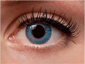 True Sapphire Contact Lens